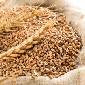 Wheat 1kg