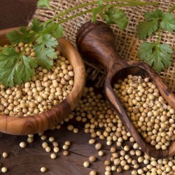 Coriander 200g