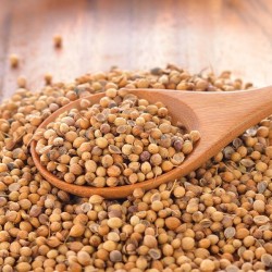 Coriander 200g