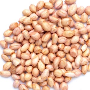 Groundnut 500g