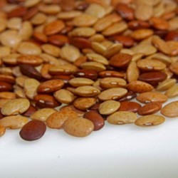 Horse Gram 500g