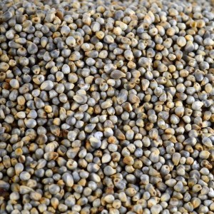 Bajra 500g