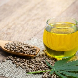 Hemp Seed Oil 100ml