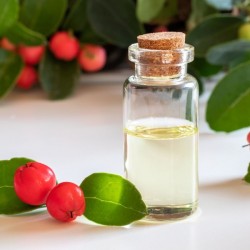 Wintergreen Oil 100ml